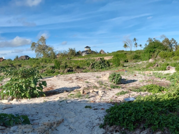 4 acres beachfront land for sale in Watamu Papa Remo sandy beach prime oceanfront property Kenya