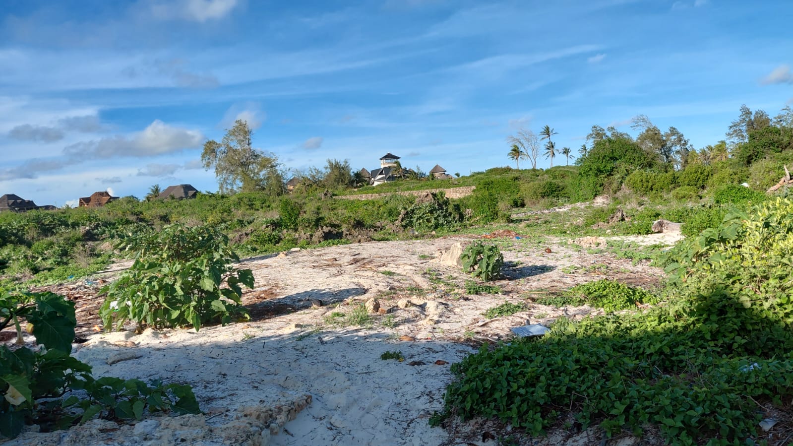 4 acres beachfront land for sale in Watamu Papa Remo sandy beach prime oceanfront property Kenya