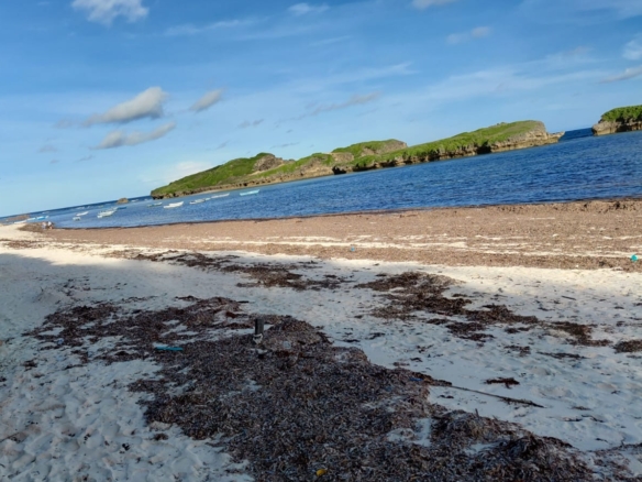 4 acres beachfront land for sale in Watamu Papa Remo sandy beach prime oceanfront property Kenya