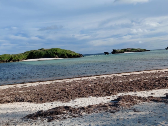 4 acres beachfront land for sale in Watamu Papa Remo sandy beach prime oceanfront property Kenya