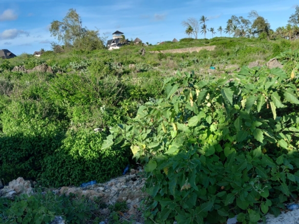 4 acres beachfront land for sale in Watamu Papa Remo sandy beach prime oceanfront property Kenya
