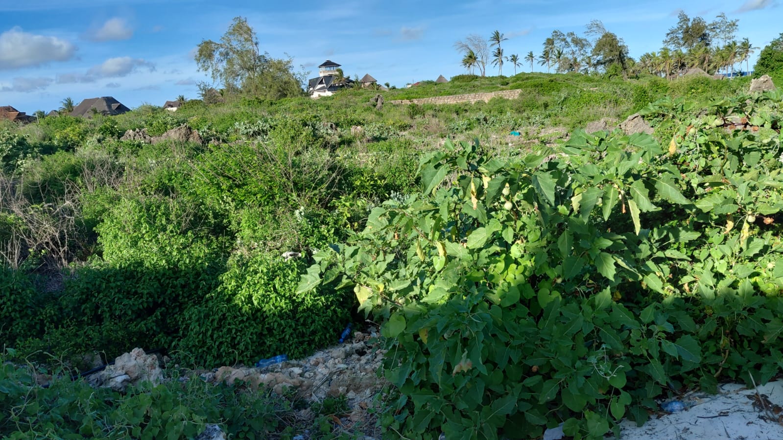 4 acres beachfront land for sale in Watamu Papa Remo sandy beach prime oceanfront property Kenya
