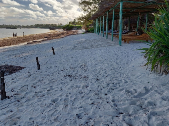 4 acres beachfront land for sale in Watamu Papa Remo sandy beach prime oceanfront property Kenya