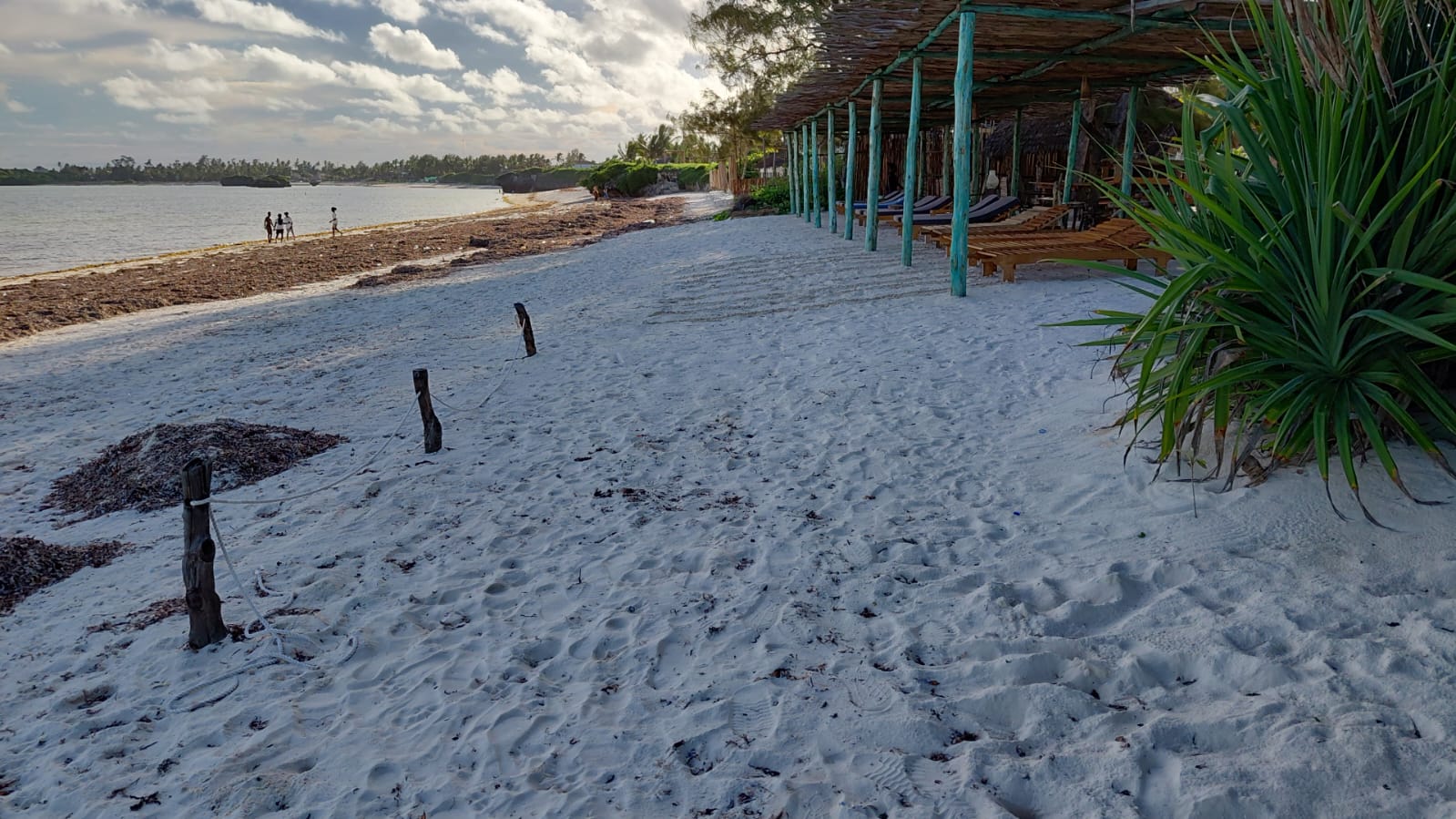 4 acres beachfront land for sale in Watamu Papa Remo sandy beach prime oceanfront property Kenya