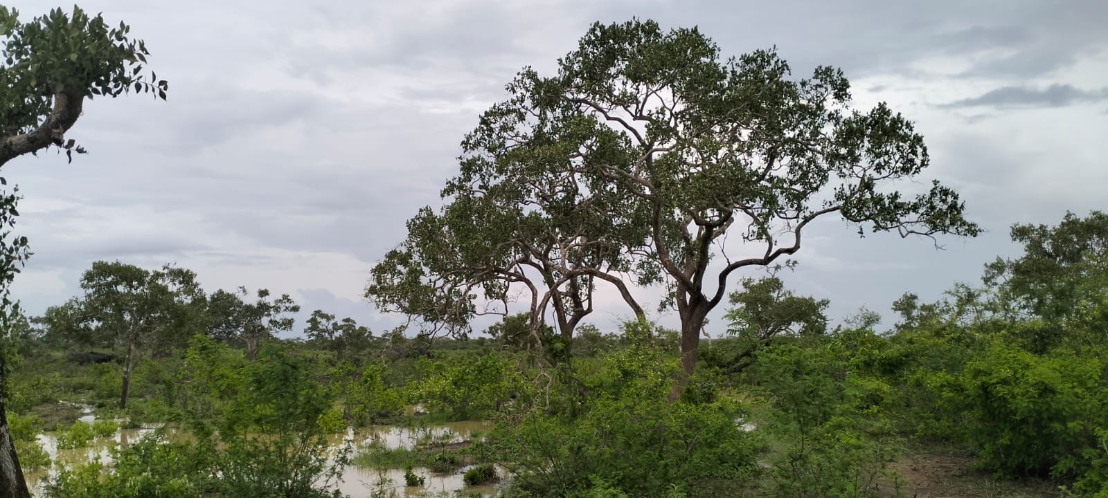 15 acres land for sale in Chakama Kathama near tarmac freehold title 185k per acre total 2.775M