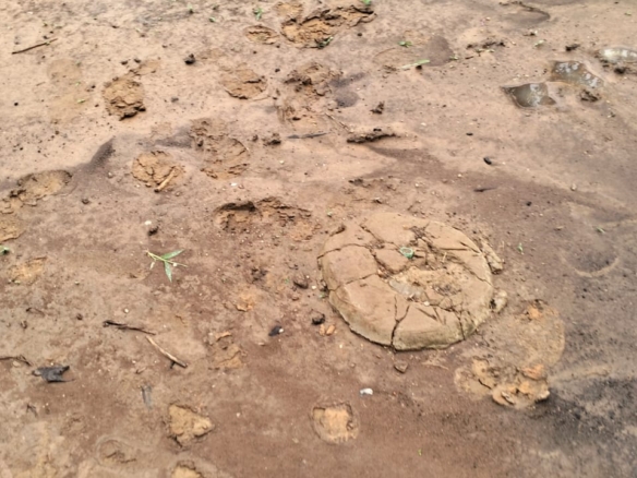 15 acres land for sale in Chakama Kathama near tarmac freehold title 185k per acre total 2.775M