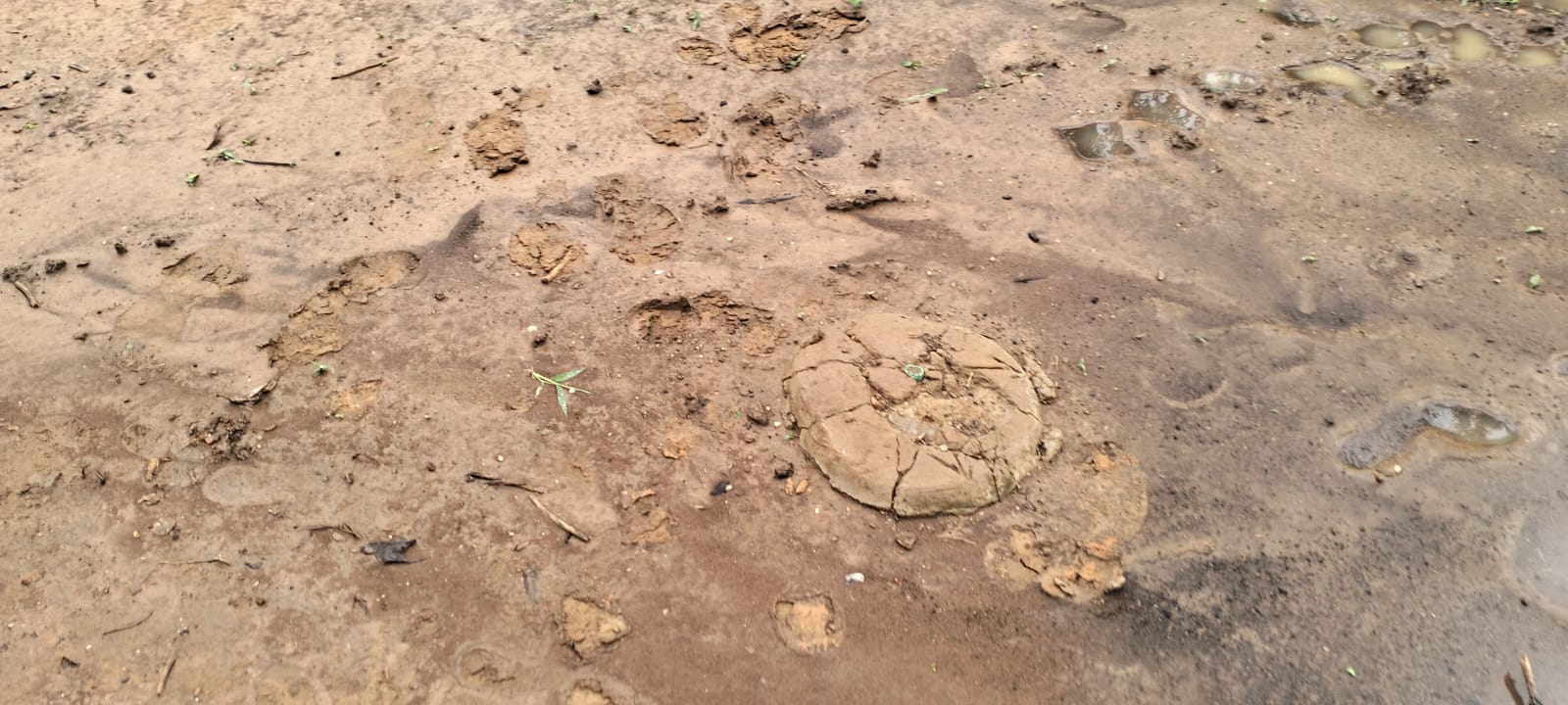 15 acres land for sale in Chakama Kathama near tarmac freehold title 185k per acre total 2.775M