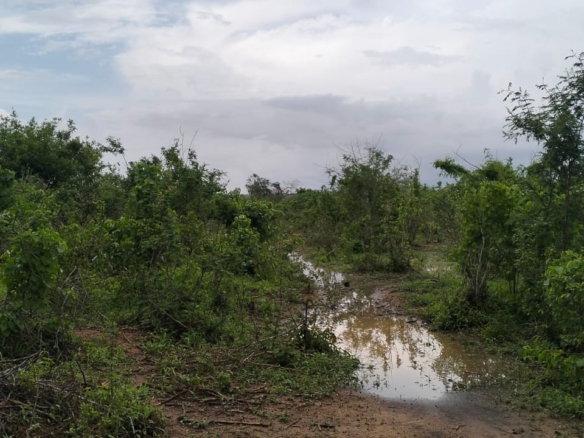 15 acres land for sale in Chakama Kathama near tarmac freehold title 185k per acre total 2.775M