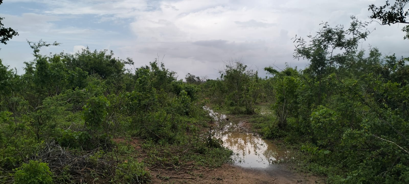 15 acres land for sale in Chakama Kathama near tarmac freehold title 185k per acre total 2.775M