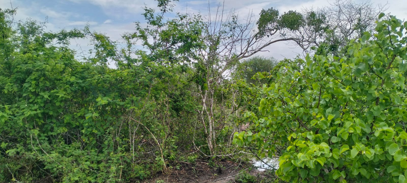 15 acres land for sale in Chakama Kathama near tarmac freehold title 185k per acre total 2.775M