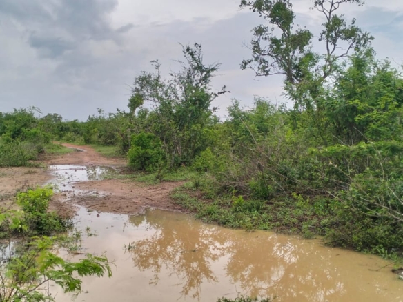 15 acres land for sale in Chakama Kathama near tarmac freehold title 185k per acre total 2.775M