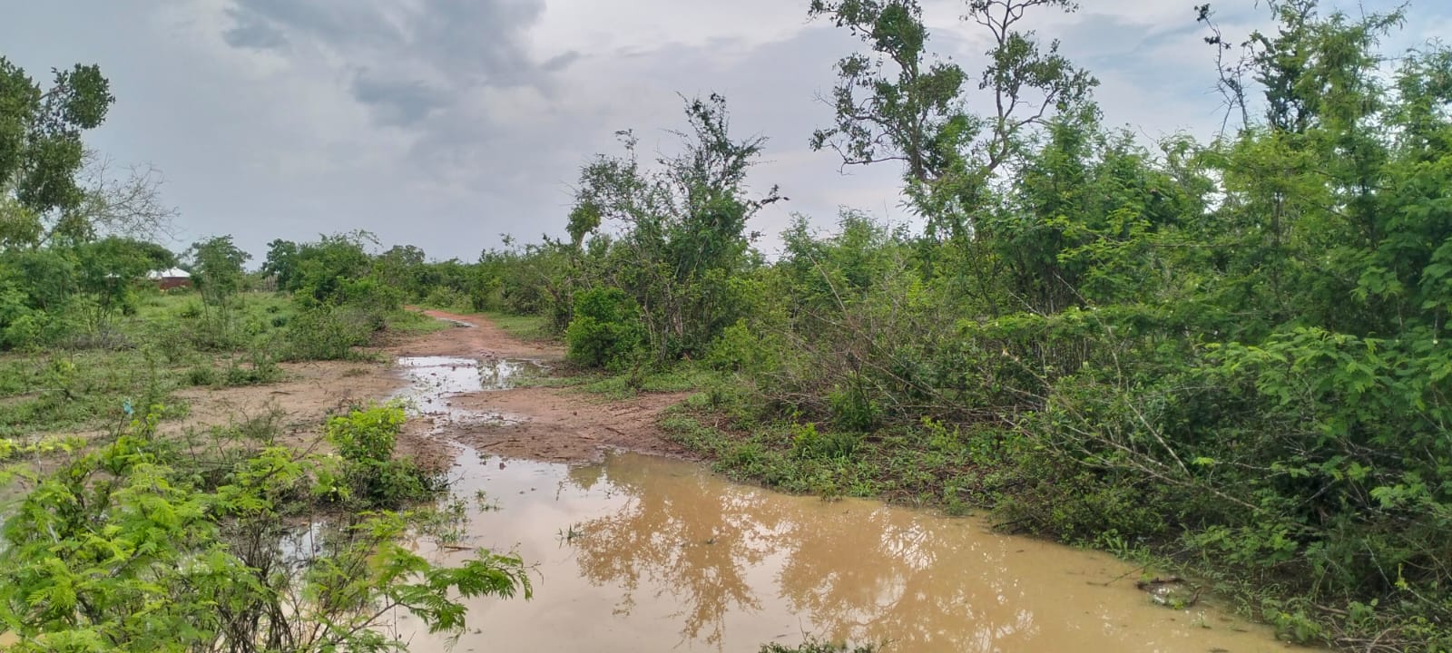 15 acres land for sale in Chakama Kathama near tarmac freehold title 185k per acre total 2.775M