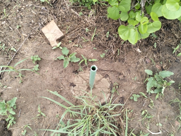 7.5 acres land for sale in Chakama Malindi second row from tarmac freehold title hardwood trees 200k per acre total 1.5M