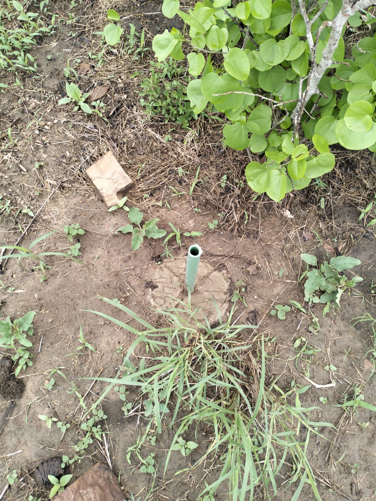 7.5 acres land for sale in Chakama Malindi second row from tarmac freehold title hardwood trees 200k per acre total 1.5M