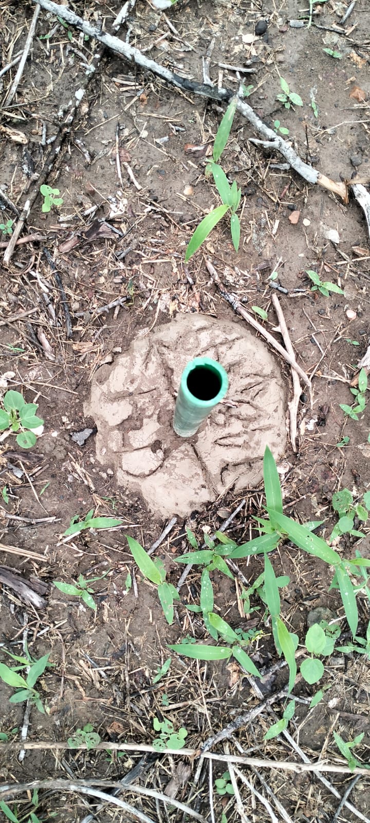 7.5 acres land for sale in Chakama Malindi second row from tarmac freehold title hardwood trees 200k per acre total 1.5M