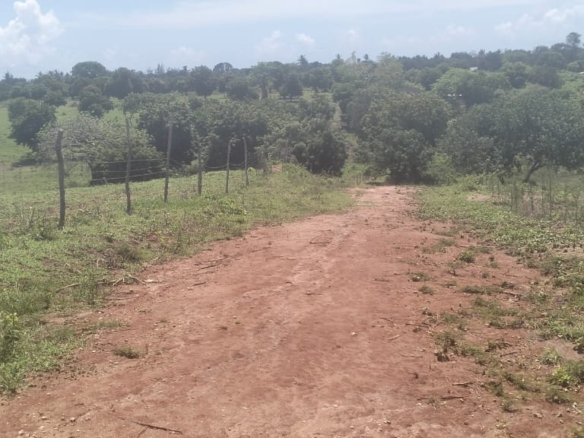 2 acres land for sale in Kaoyeni Malindi airport view red soil ready title 6.95M