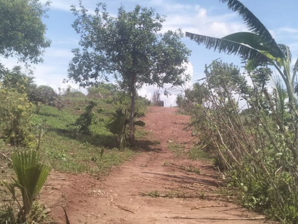 2 acres land for sale in Kaoyeni Malindi airport view red soil ready title 6.95M