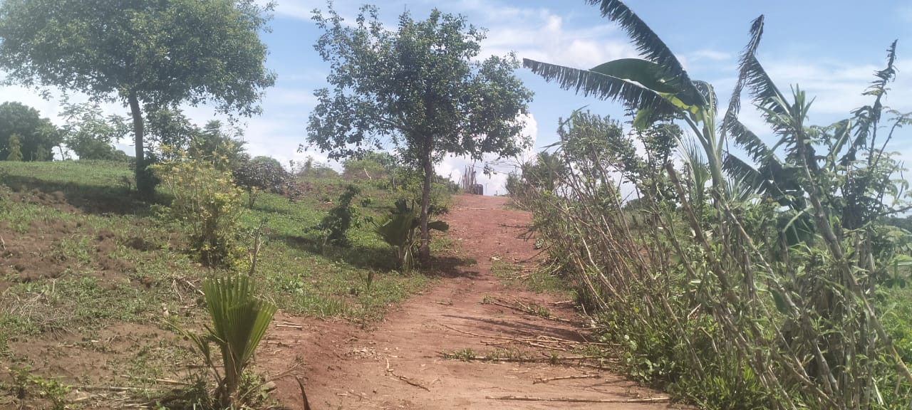 2 acres land for sale in Kaoyeni Malindi airport view red soil ready title 6.95M