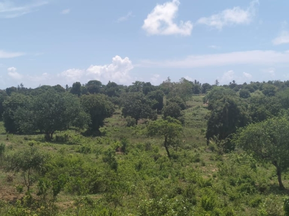 2 acres land for sale in Kaoyeni Malindi airport view red soil ready title 6.95M