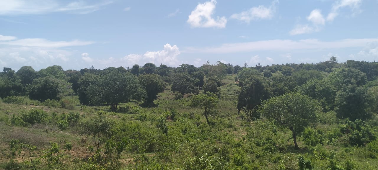 2 acres land for sale in Kaoyeni Malindi airport view red soil ready title 6.95M