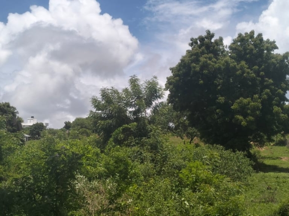 2 acres land for sale in Kaoyeni Malindi airport view red soil ready title 6.95M