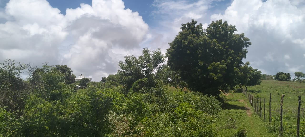 2 acres land for sale in Kaoyeni Malindi airport view red soil ready title 6.95M