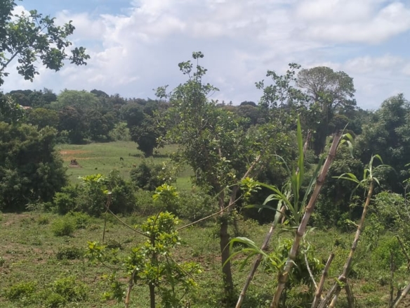 2 acres land for sale in Kaoyeni Malindi airport view red soil ready title 6.95M