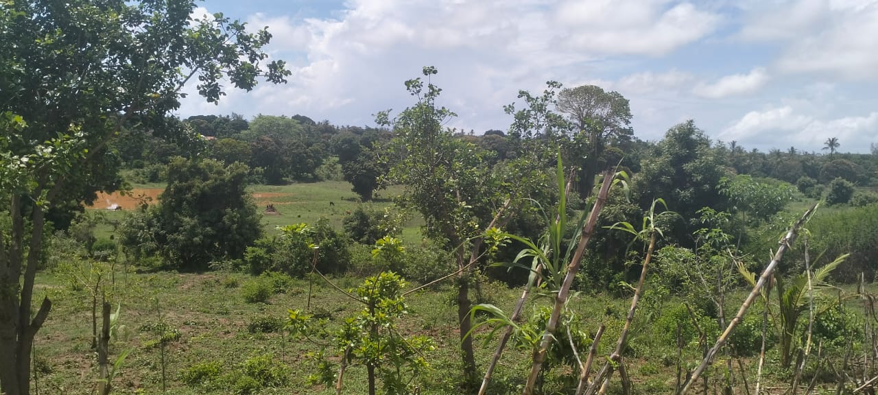 2 acres land for sale in Kaoyeni Malindi airport view red soil ready title 6.95M