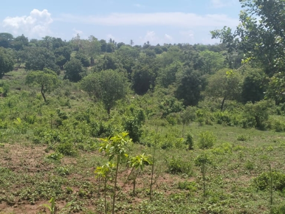 2 acres land for sale in Kaoyeni Malindi airport view red soil ready title 6.95M