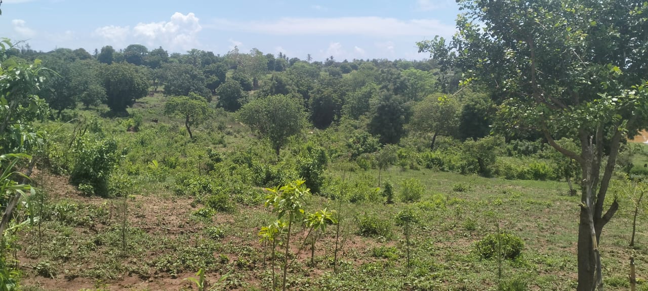 2 acres land for sale in Kaoyeni Malindi airport view red soil ready title 6.95M