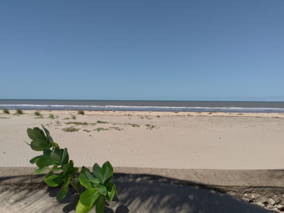 beachfront 2 bedroom villa for sale in Mambrui Malindi fully furnished villa with pool golf course and security