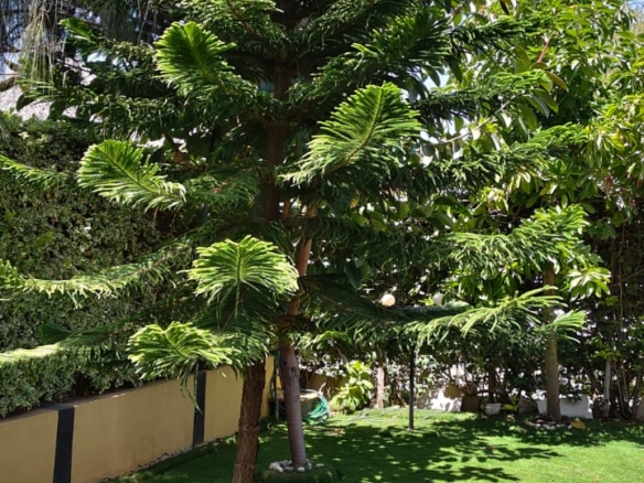 4 bedroom house for sale in Kitengela with DSQ gated estate highway frontage 50x100 plot KES 15M