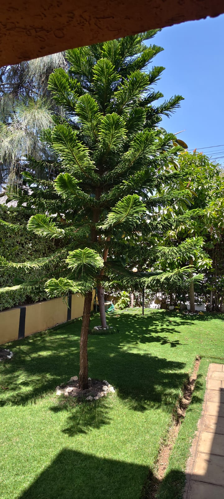 4 bedroom house for sale in Kitengela with DSQ gated estate highway frontage 50x100 plot KES 15M