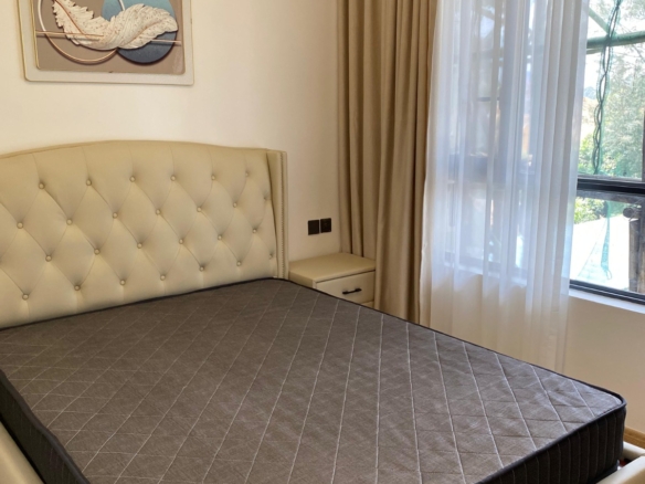 Luxury 2 and 3 bedroom apartments for sale at Plumeria Residency Riara near Junction Mall Nairobi with modern amenities and penthouses