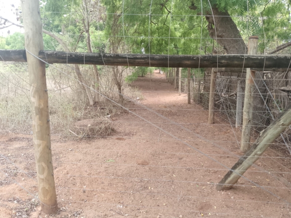 6 acres land for sale in Bofa Kilifi near beach subdivided into 2 acre plots coastal investment