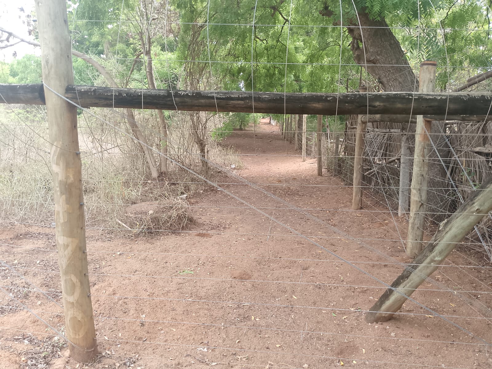 6 acres land for sale in Bofa Kilifi near beach subdivided into 2 acre plots coastal investment