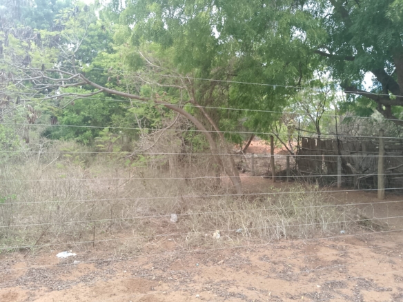 6 acres land for sale in Bofa Kilifi near beach subdivided into 2 acre plots coastal investment