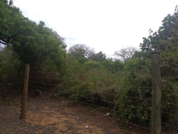 6 acres land for sale in Bofa Kilifi near beach subdivided into 2 acre plots coastal investment