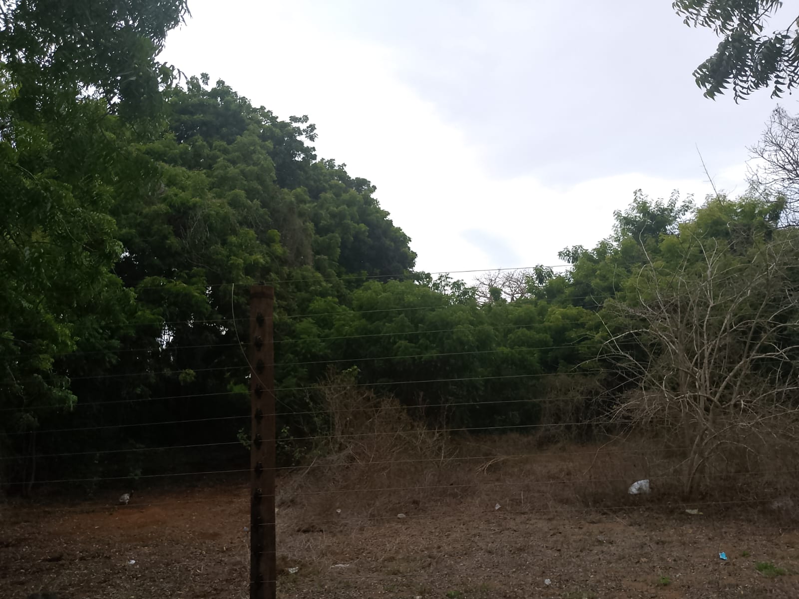6 acres land for sale in Bofa Kilifi near beach subdivided into 2 acre plots coastal investment