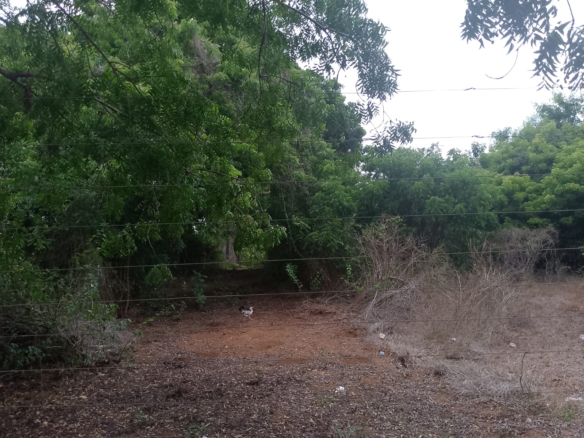 6 acres land for sale in Bofa Kilifi near beach subdivided into 2 acre plots coastal investment
