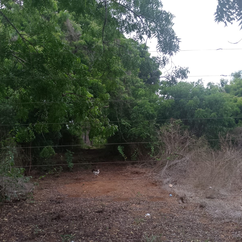 6 acres land for sale in Bofa Kilifi near beach subdivided into 2 acre plots coastal investment