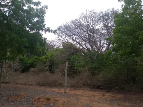 6 acres land for sale in Bofa Kilifi near beach subdivided into 2 acre plots coastal investment