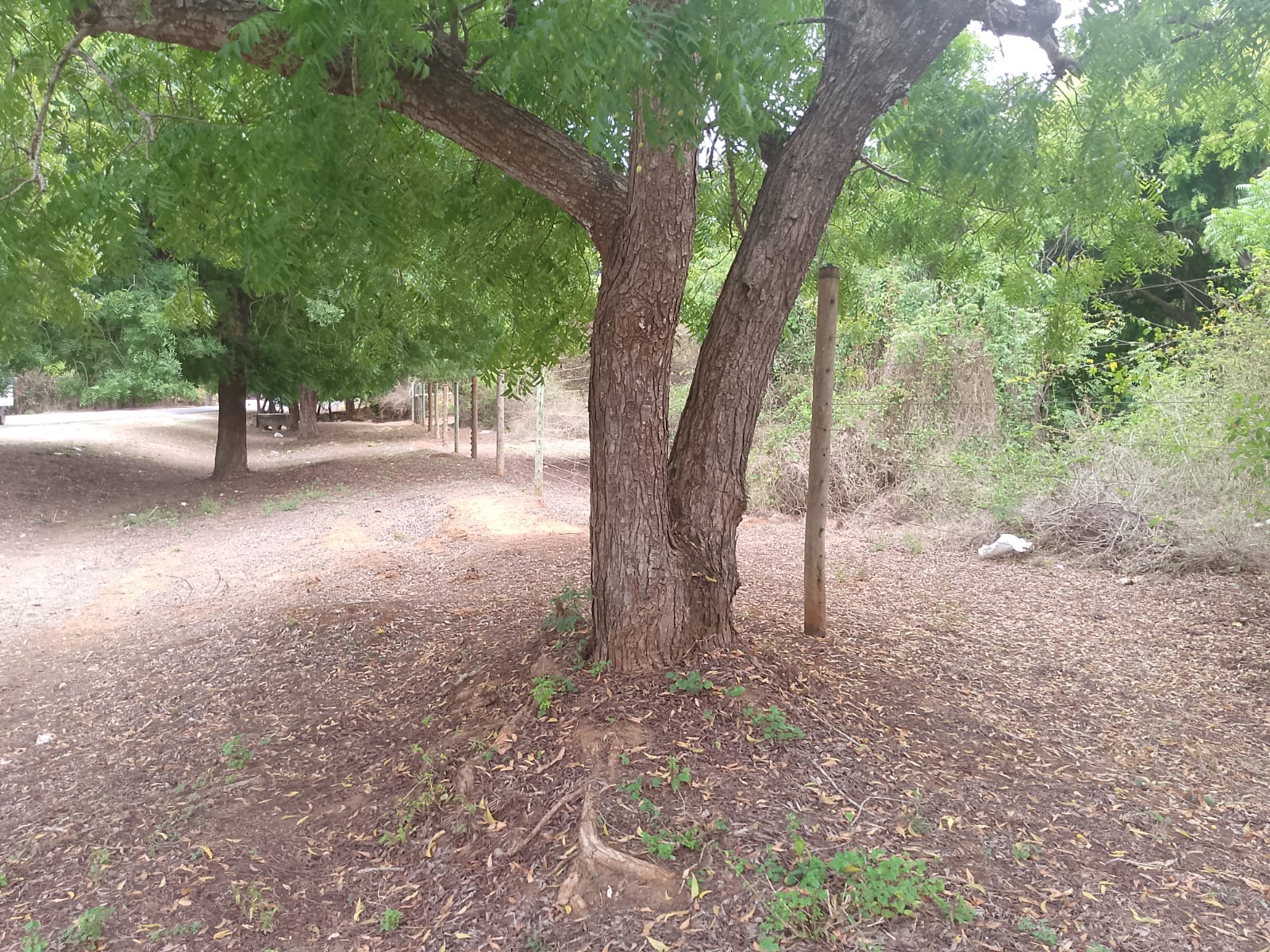 6 acres land for sale in Bofa Kilifi near beach subdivided into 2 acre plots coastal investment