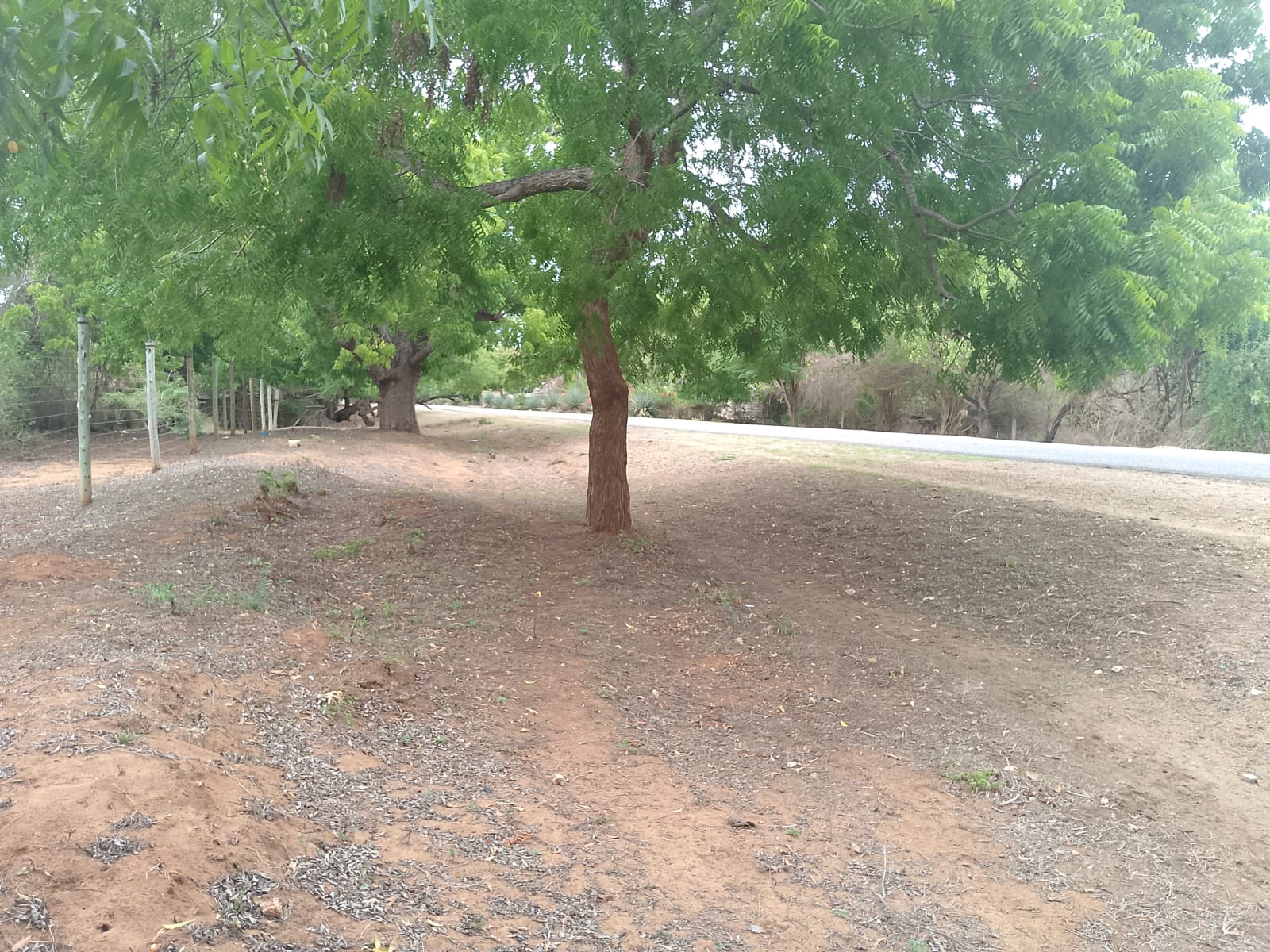 6 acres land for sale in Bofa Kilifi near beach subdivided into 2 acre plots coastal investment