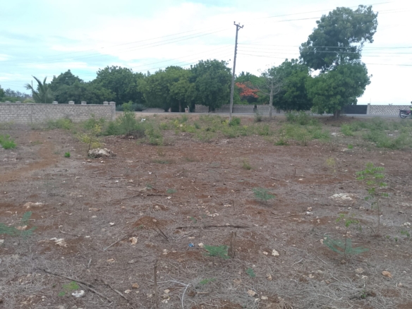 second row plots for sale in Bofa Kilifi near Kilifi Bay road frontage quarter acre and one acre land