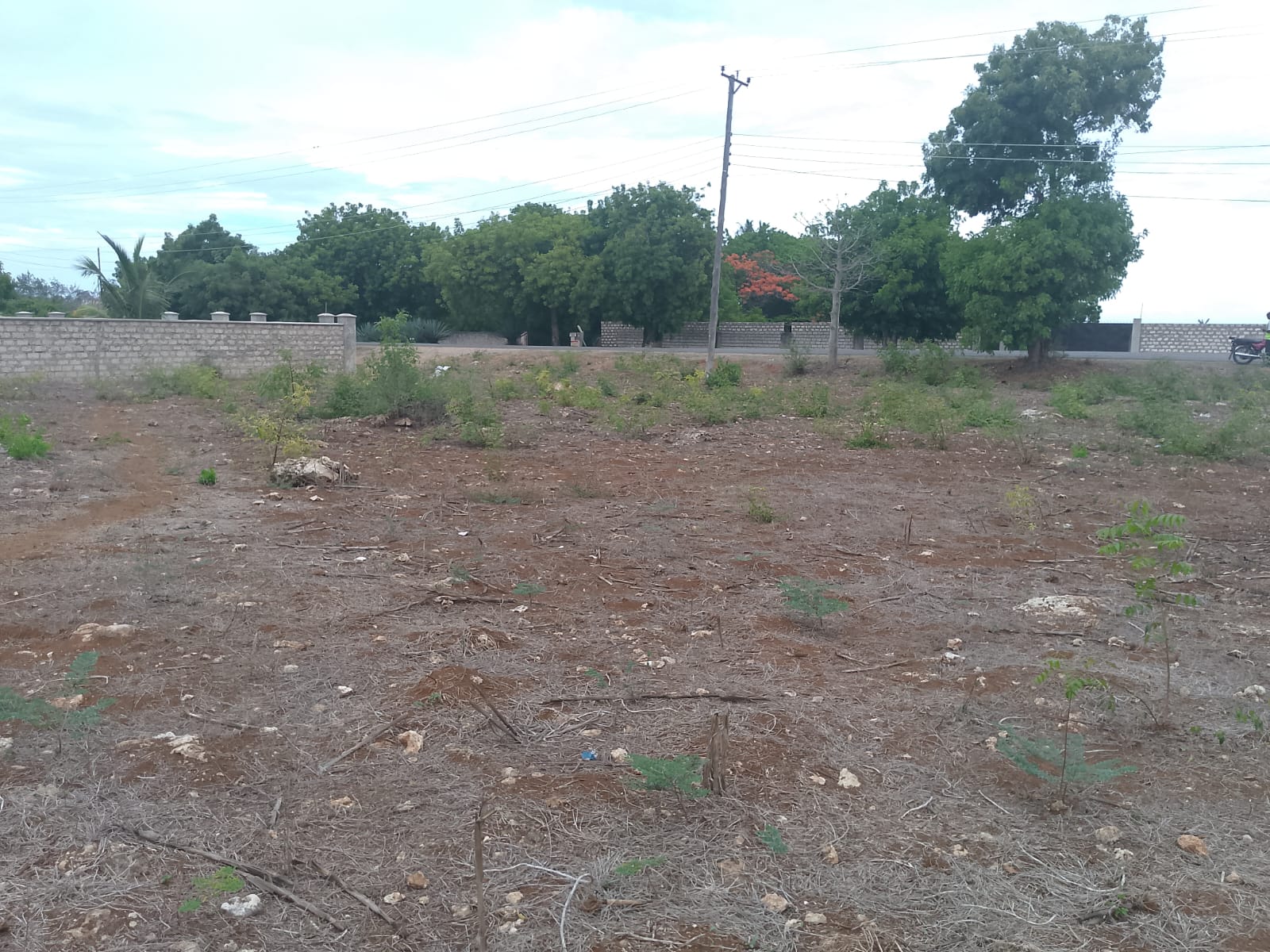 second row plots for sale in Bofa Kilifi near Kilifi Bay road frontage quarter acre and one acre land