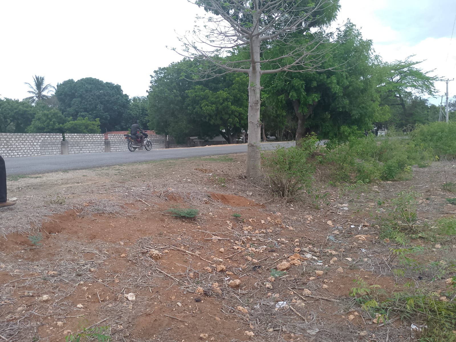 second row plots for sale in Bofa Kilifi near Kilifi Bay road frontage quarter acre and one acre land