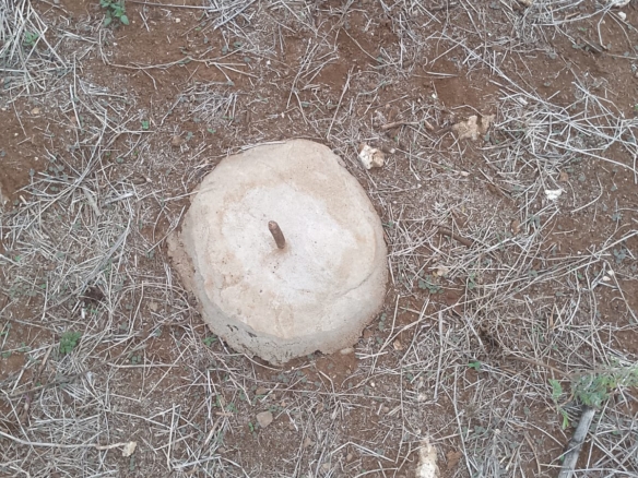 second row plots for sale in Bofa Kilifi near Kilifi Bay road frontage quarter acre and one acre land