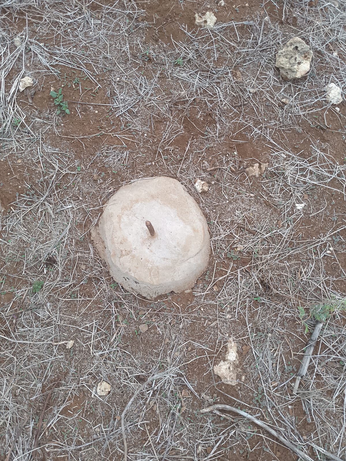 second row plots for sale in Bofa Kilifi near Kilifi Bay road frontage quarter acre and one acre land