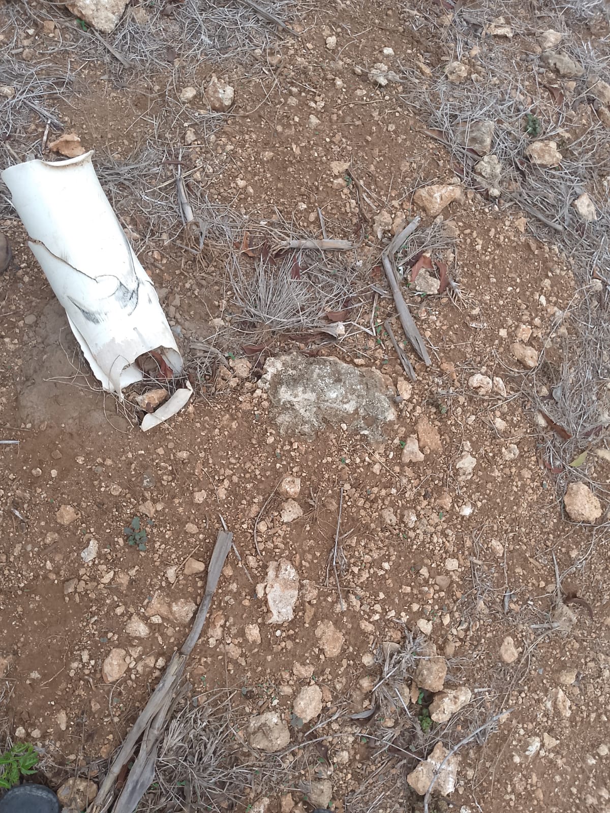 second row plots for sale in Bofa Kilifi near Kilifi Bay road frontage quarter acre and one acre land